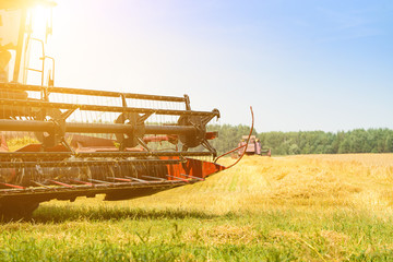 Fototapeta premium harvester machine in field in rays of the sun. Agriculture and farming concept, shallow dof