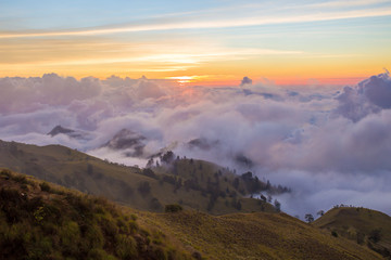 Forested mountain slope in low lying cloud in mist in a scenic landscape view.