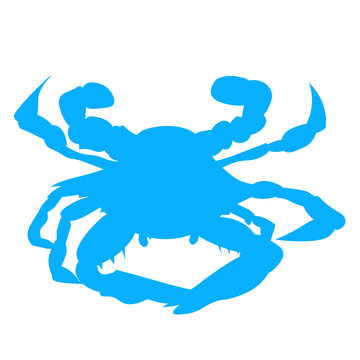 Blue Baltimore or Maryland Crab silhouette. Chesapeake Bay Crab.