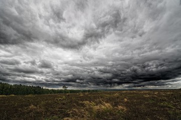 Autumnal field and sky