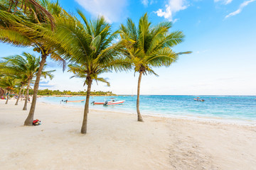 Naklejka na ściany i meble Beautiful white sand beach in Akumal, Mexico - paradise bay Beach in Quintana Roo - caribbean coast - late afternoon and sunset at Riviera Maya
