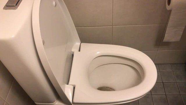 Flushing toilet seat with waste. First toilet seat is dirty and after washing clean.