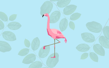 pink flamingo bird over blue background