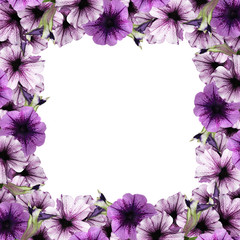 Beautiful floral background of purple petunias 