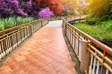 Concrete pathway through the lake along the valley with colorful forest surrounding.