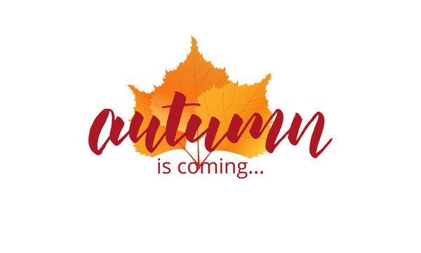 Autumn is coming. Autumn lettering and fall leaves. Template for banner, advertisement, sale etc.