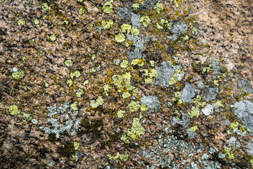 Stone texture - details; background and texture image