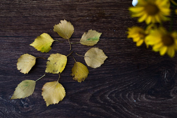 Yellow autumn leaves on a wooden background.