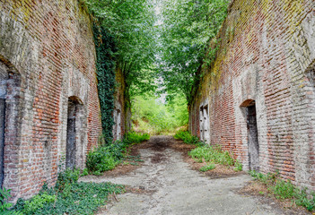 Plants growing on ancient ruined Cittadella of Alessandria in Italy. HDR effect.