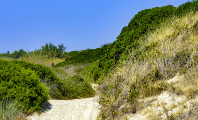 Enchanting views in the 