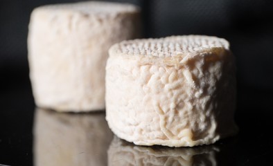Studio shot of traditional goat cheese Chabichou