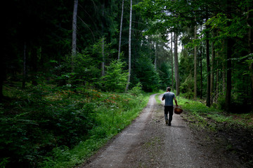 Obraz premium Mann sammelt Pilze im Wald