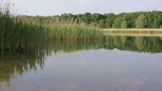 French countryside. Lake Lac de Madine in the Parc Naturel Regional de Lorraine in the early morning after sunrise.