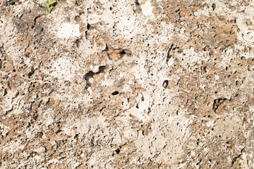 Seamless abstract backgroun. The cellular texture of the concrete.