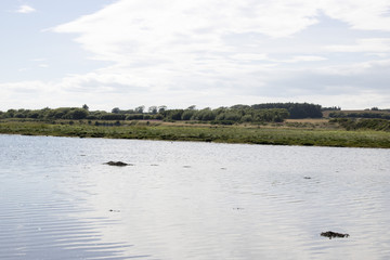 River Ythan running past Forvie Nature Reserve