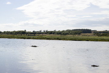 River Ythan running past Forvie Nature Reserve