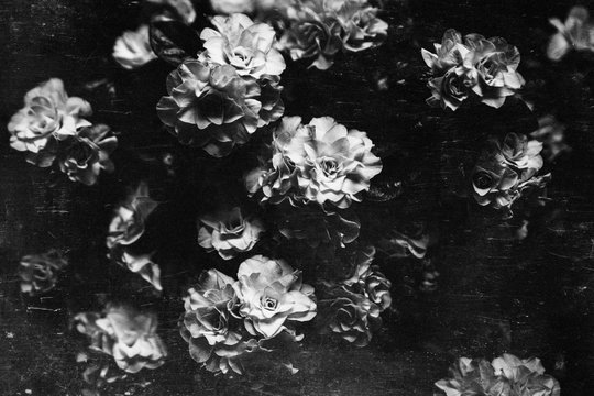 Vintage flowery backgrounds,black and white
