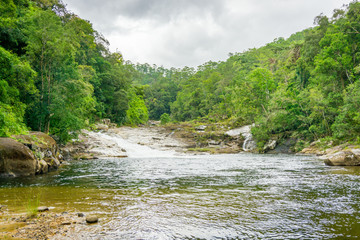 The stream in wild forest
