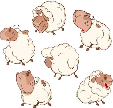 Set of  Cartoon Illustration.A Different Sheep for  you Design. Cartoon Character