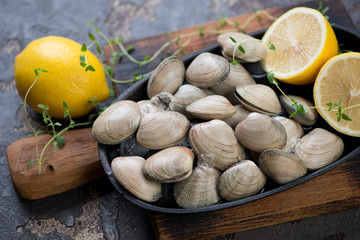 Close-up of fresh unopened vongole shells with ice, lemon and thyme, selective focus