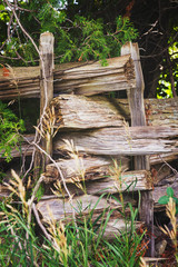 Cedar Rail Fence