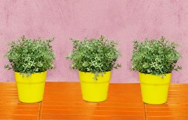 Outdoor kussens Three plants © vali_111