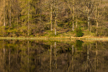 Yew Tree Tarn, small lake in the English Lake District situated in between the towns of Ambleside and Coniston, Cumbria, England.
