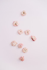 Pink dry roses buds arrangement on pink background. Flat lay, top view. Flowers background.