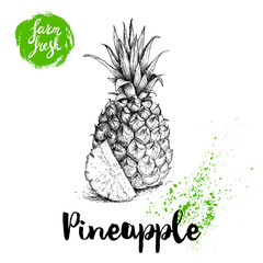 Hand drawn sketch pineapple poster. Vector pineapple with slice eco food illustration. Hand drawn farm fresh badge. Summer symbol.