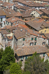 Toskana -Impressionen von Lucca, gesehen vom Torre Guinigi