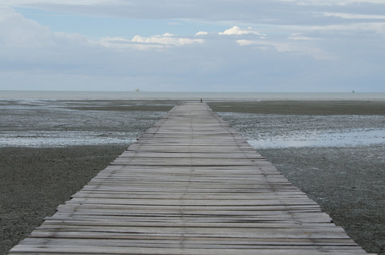 Old wood bridge on the sea