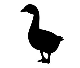 silhouette goose