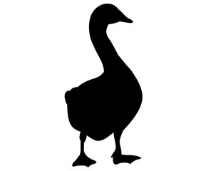 silhouette goose - obrazy, fototapety, plakaty