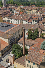 Fototapeta na wymiar Toskana-Impressionen in Lucca, Blick vom Torre Guinigi auf die Altstadt