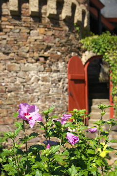 Burg Thurant an der Mosel