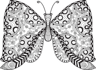 butterfly with beautiful and exotic wings.for coloring book ,adult and kid