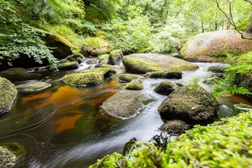 Peel and stick wall murals Forest river Magical river in the heart of the Breton forest
