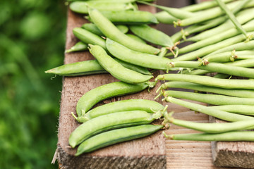 fresh harvest of green beans and green peas