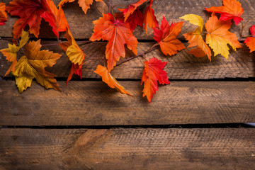 Bunte Herbstblätter