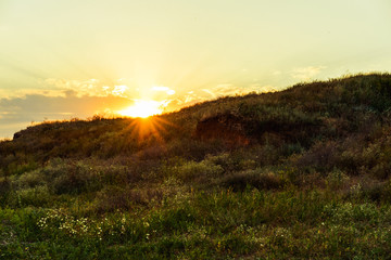 Landscape, sunny dawn in a field. Beautiful green hills at twilight.  Beauty world.