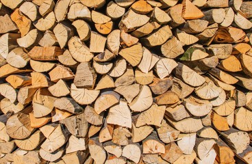 Bundle of Firewood Closeup