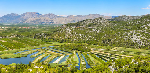 A view of the irrigated agricultural orchards and fields in the delta of the river Neretva in Opuzen, Croatia.