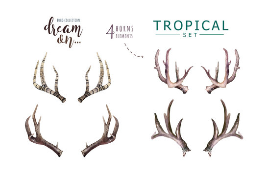 Hand drawn watercolor deer horns with tropical flower bouquets. Exotic palm leaves, jungle tree, brazil tropic botany flowers and cow skull. Aloha collection.