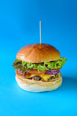 Hamburger with vegetables on wooden plate