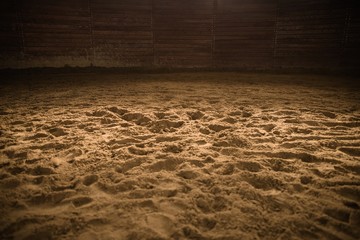 Sandy Horse Riding Arena - obrazy, fototapety, plakaty