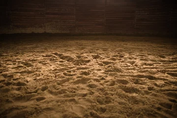 Foto op Plexiglas Sandy Horse Riding Arena © Tomasz Zajda