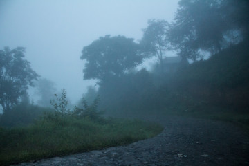 Fototapeta na wymiar Amanecer entre la niebla