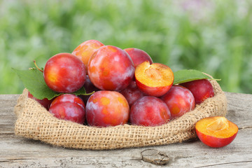 raw plum on old wooden table with green garden background