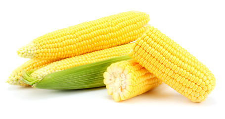 Fresh corn on cob isolated on white background