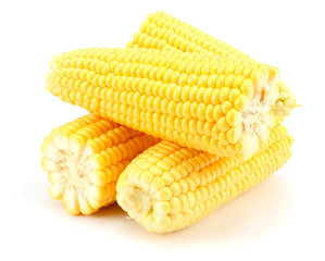 Fresh corn on cob isolated on white background